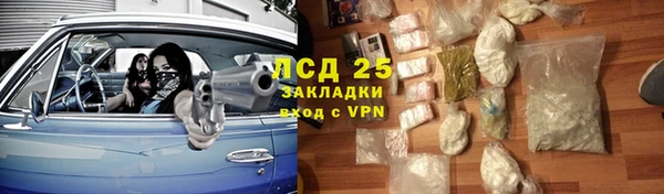 прущие крисы Алзамай