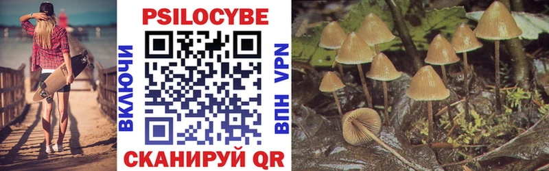 дарнет шоп  Амурск  Галлюциногенные грибы Psilocybe 